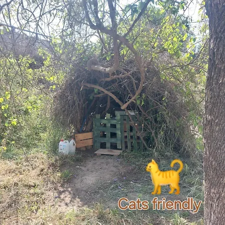 Homestay Door Camas